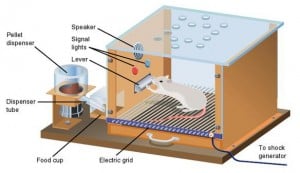 skinner box