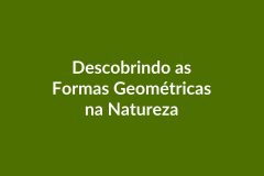 Plano de Aula – BNCC – Descobrindo as Formas Geométricas na Natureza – Educação Infantil