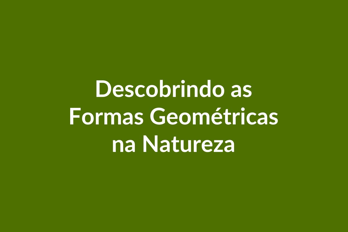 Plano de Aula – BNCC – Descobrindo as Formas Geométricas na Natureza – Educação Infantil