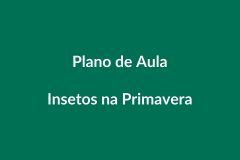 Plano de Aula BNCC – Insetos na Primavera – Educação Infantil