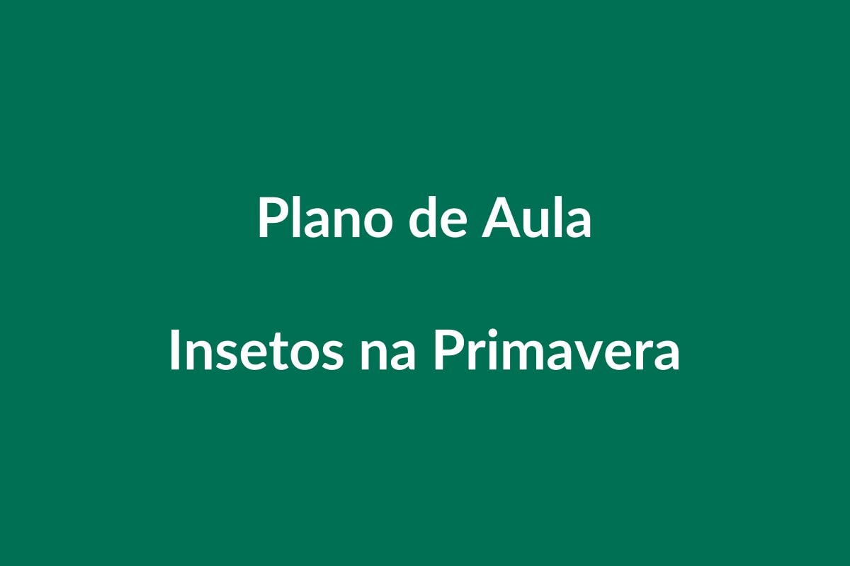 Plano de Aula BNCC – Insetos na Primavera – Educação Infantil