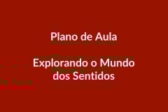 Plano de Aula – Explorando o Mundo dos Sentidos – Educação Infantil – BNCC