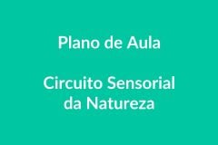 Plano de Aula – Circuito Sensorial da Natureza – Educação Infantil – BNCC