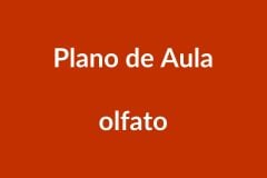 BNCC Plano de Aula – Olfato – Educação Infantil