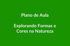 Plano de Aula BNCC – Explorando Formas e Cores – Educação Infantil