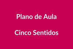 BNCC: Plano de Aula sobre os Cinco Sentidos na Educação Infantil