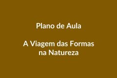 Plano de Aula – A Viagem das Formas na Natureza – Educação Infantil – BNCC