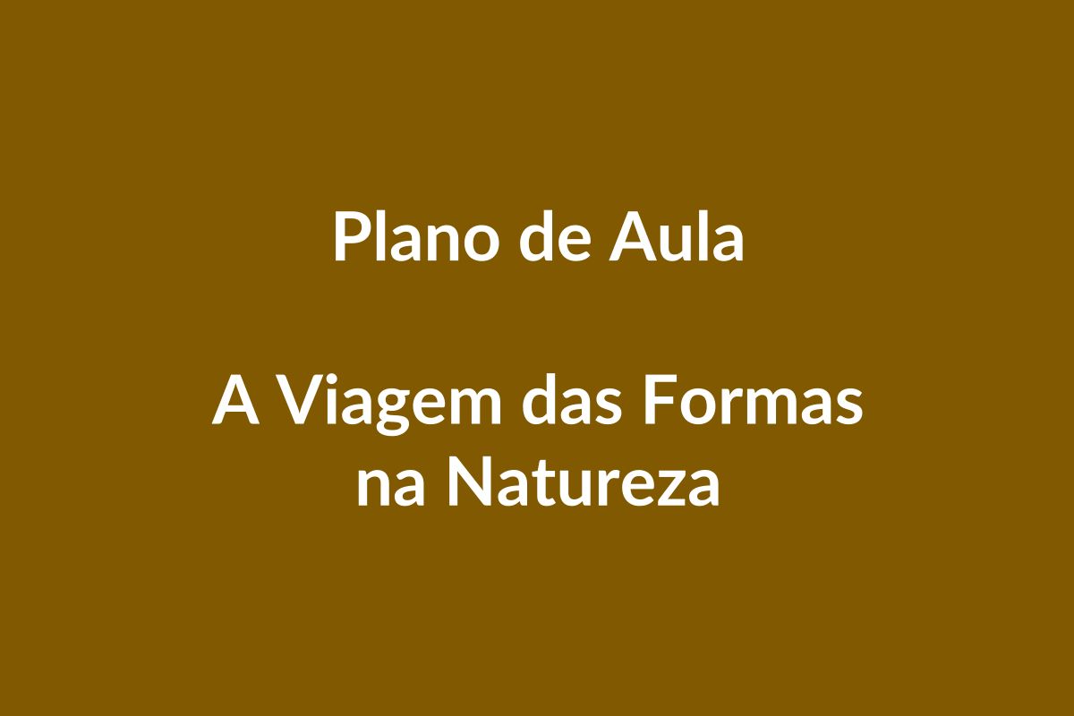 Plano de Aula – A Viagem das Formas na Natureza – Educação Infantil – BNCC