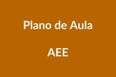 Plano de Aula AEE – Inclusão e Aprendizagem – BNCC