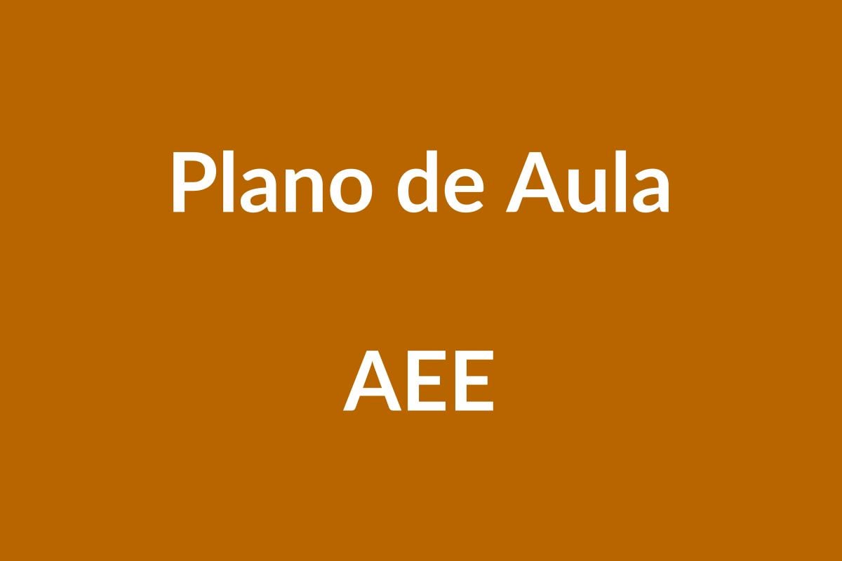Plano de Aula AEE – Inclusão e Aprendizagem – BNCC