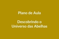 Plano de Aula BNCC – Descobrindo o Universo das Abelhas – Educação Infantil