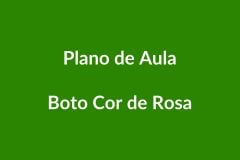 Plano de Aula BNCC ā Boto Cor de Rosa ā Educação Infantil