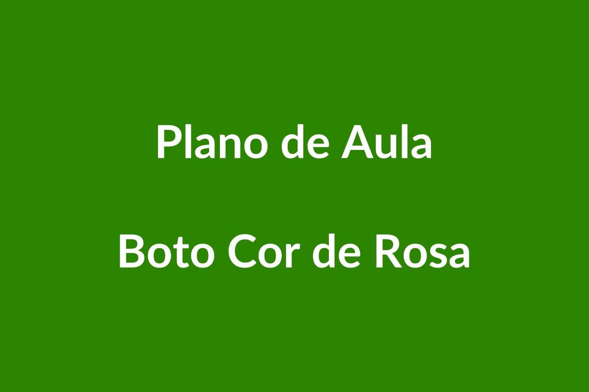 Plano de Aula BNCC – Boto Cor de Rosa – Educação Infantil
