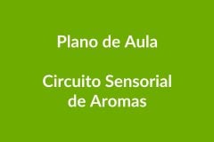 Plano de Aula – Circuito Sensorial de Aromas – Educação Infantil – BNCC