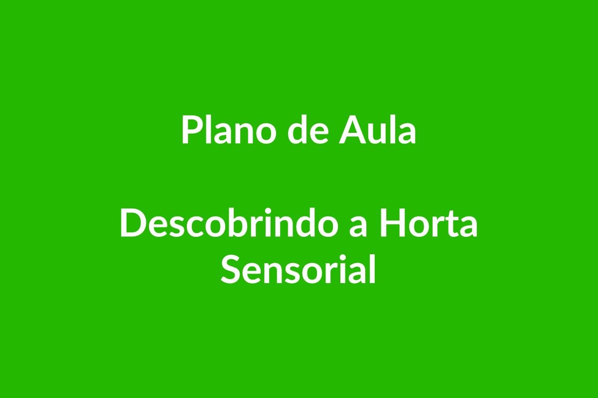 Plano de Aula – Descobrindo a Horta Sensorial – Educação Infantil – BNCC