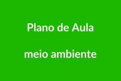 Plano de Aula BNCC – Meio Ambiente – Educação Infantil