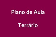 Plano de Aula Terrário – Educação Infantil – BNCC