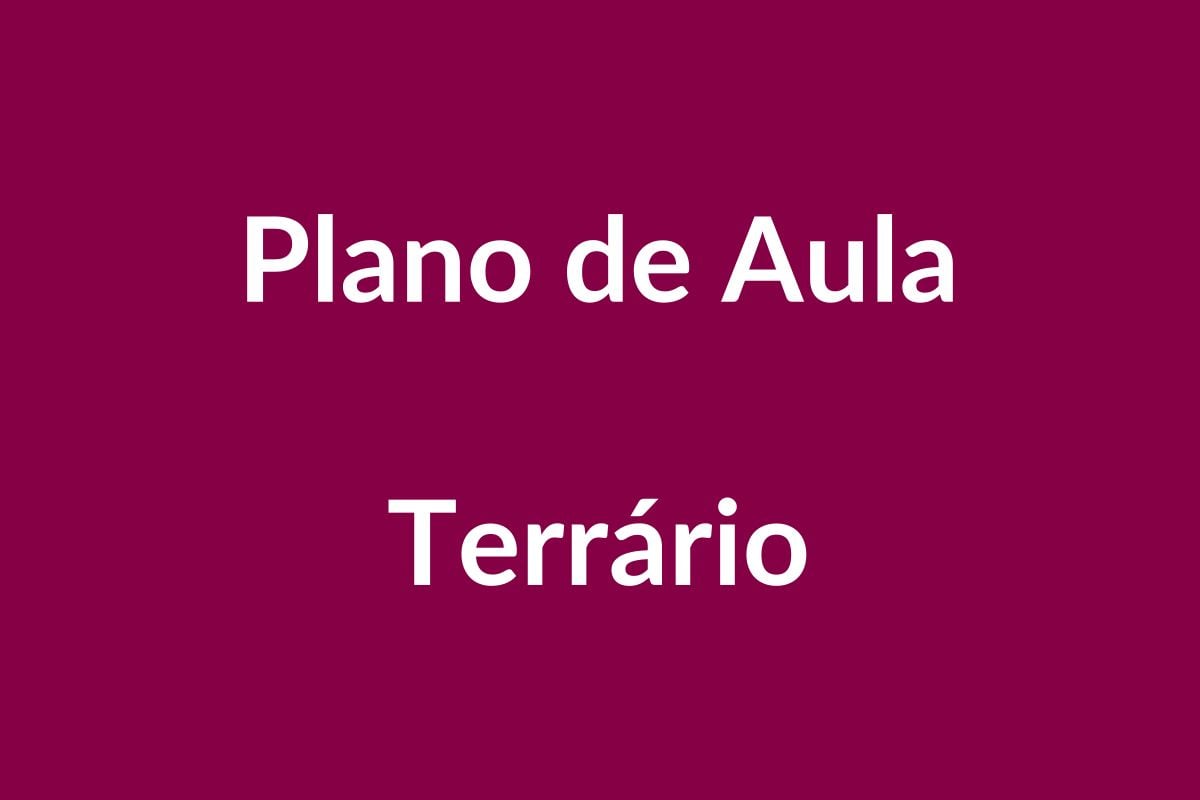 Plano de Aula Terrário – Educação Infantil – BNCC