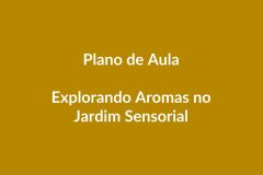 Plano de Aula – Jardim Sensorial de Aromas – Educação Infantil – BNCC