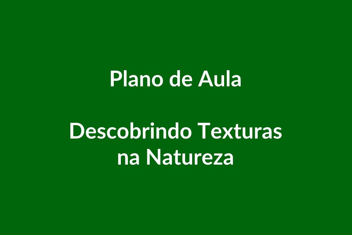 Plano de Aula BNCC – Descobrindo Texturas na Natureza – Educação Infantil