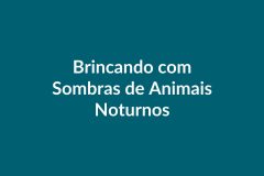 Plano de Aula BNCC – Brincando com Sombras de Animais Noturnos – Educação Infantil