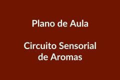 Plano de Aula – Circuito Sensorial de Aromas – Educação Infantil – BNCC