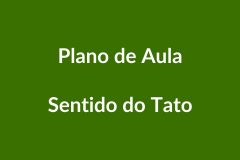 Plano de Aula – Sentido do Tato – Educação Infantil – BNCC