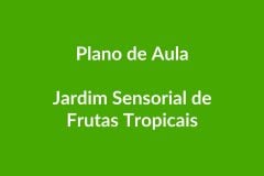 BNCC Plano de Aula – Jardim Sensorial de Frutas Tropicais – Educação Infantil