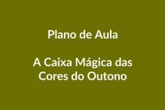 Plano de Aula BNCC – A Caixa Mágica das Cores do Outono – Educação Infantil