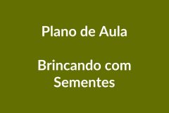 Plano de Aula – Brincando com Sementes – Educação Infantil – BNCC