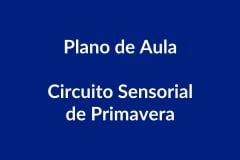 Plano de Aula – Circuito Sensorial de Primavera – Educação Infantil – BNCC