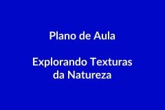 Plano de Aula – Explorar Texturas da Natureza – Educação Infantil – BNCC