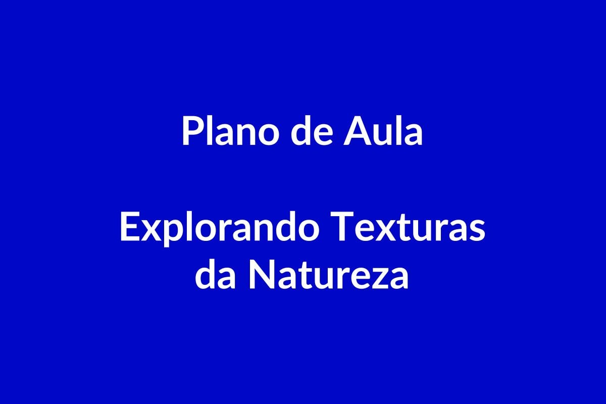 Plano de Aula – Explorar Texturas da Natureza – Educação Infantil – BNCC