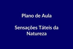 Plano de Aula – Sensações Táteis da Natureza – Educação Infantil – BNCC