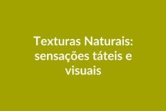 Plano de Aula BNCC – Texturas Naturais – Educação Infantil