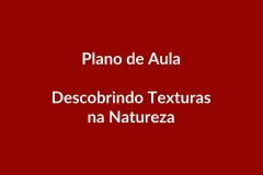 Plano de Aula – Descobrindo Texturas na Natureza – Educação Infantil – BNCC