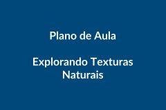 Plano de Aula BNCC – Explorando Texturas Naturais – Educação Infantil