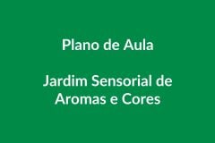 Plano de Aula BNCC – Jardim Sensorial de Aromas e Cores – Educação Infantil