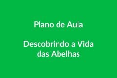 Plano de Aula – Descobrindo a Vida das Abelhas – Educação Infantil – BNCC