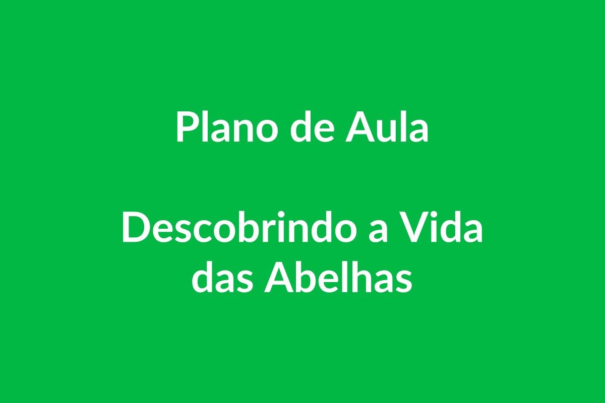 Plano de Aula – Descobrindo a Vida das Abelhas – Educação Infantil – BNCC