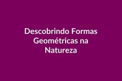 Plano de Aula – Descobrindo Formas Geométricas na Natureza – Educação Infantil – BNCC
