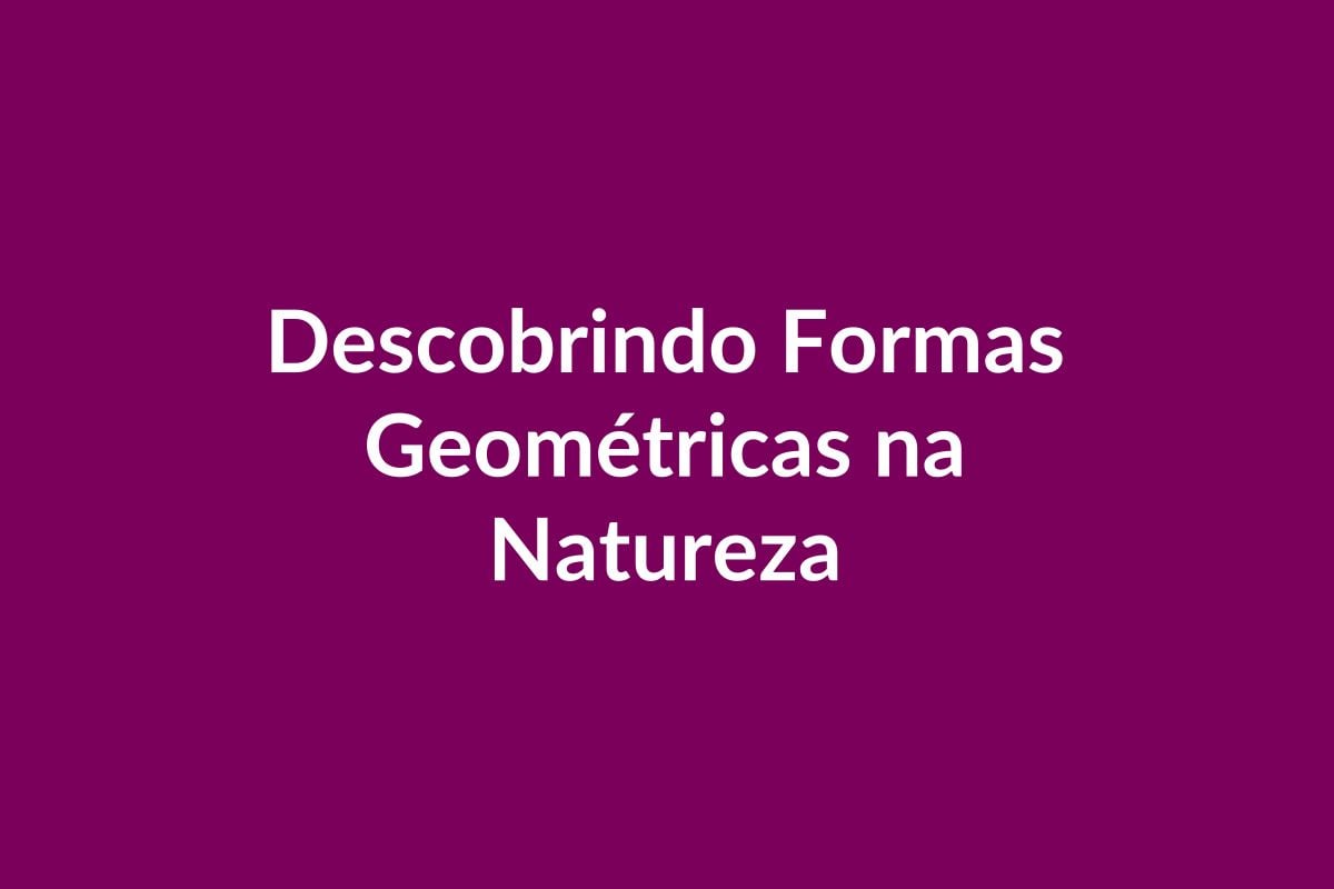 Plano de Aula – Descobrindo Formas Geométricas na Natureza – Educação Infantil – BNCC