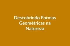 Plano de Aula – Descobrindo Formas Geométricas na Natureza – Educação Infantil – BNCC