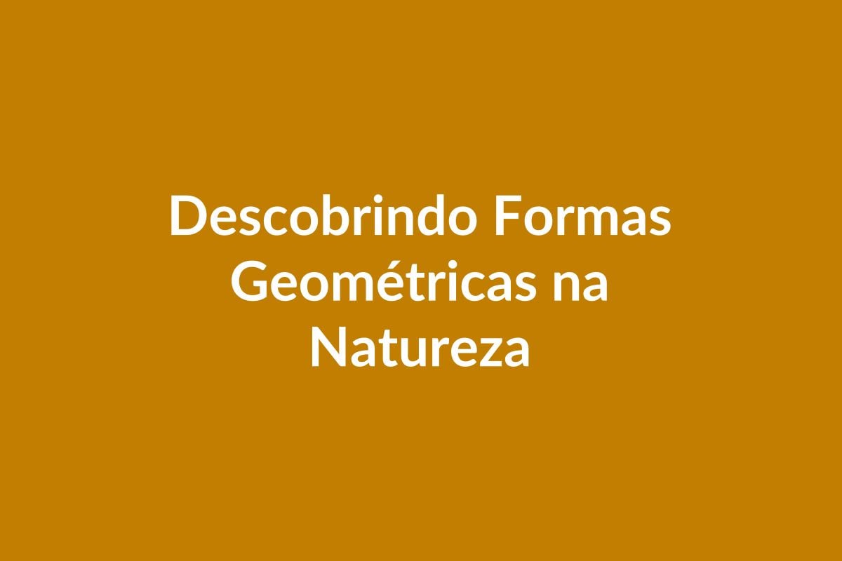 Plano de Aula – Descobrindo Formas Geométricas na Natureza – Educação Infantil – BNCC