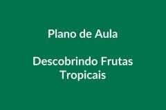 Plano de Aula BNCC – Descobrindo Frutas Tropicais – Educação Infantil
