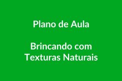 Plano de Aula BNCC – Brincando com Texturas Naturais – Educação Infantil