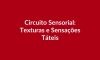 Plano de Aula BNCC – Circuito Sensorial: Texturas e Sensações Táteis – Educação Infantil