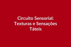 Plano de Aula BNCC – Circuito Sensorial: Texturas e Sensações Táteis – Educação Infantil