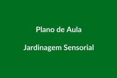Plano de Aula BNCC – Jardinagem Sensorial – Educação Infantil