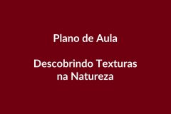 Plano de Aula – Descobrindo Texturas na Natureza – Educação Infantil – BNCC